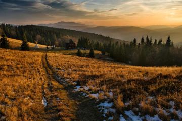 Kontenerowe Na Sprzedaż W Tarnobrzeg