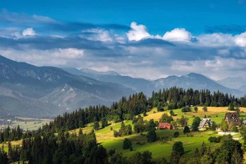 Kontenerowe Na Sprzedaż W Krosno