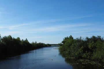 Kontenerowe Na Sprzedaż W Elbląg