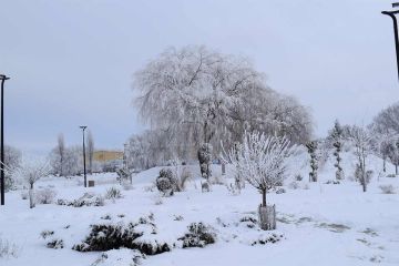 Kontenerowe Na Sprzedaż W Suwałki