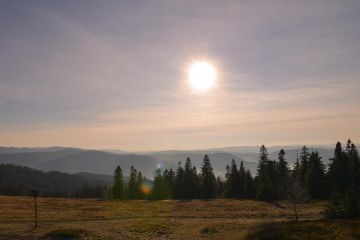 Kontenerowe Na Sprzedaż W Biała Podlaska