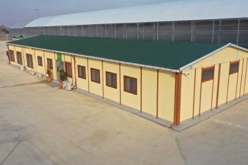 Budynki komercyjne i zarządcze 2